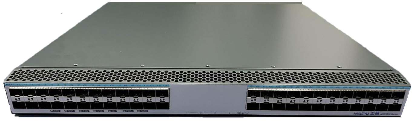 NSS5810系列 信创万兆交换机